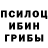 Псилоцибиновые грибы прущие грибы A Juss