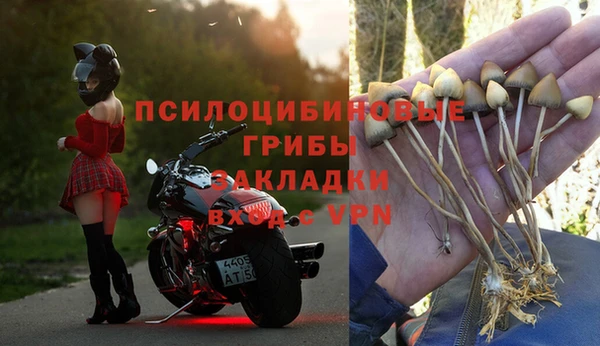 крисы Аркадак
