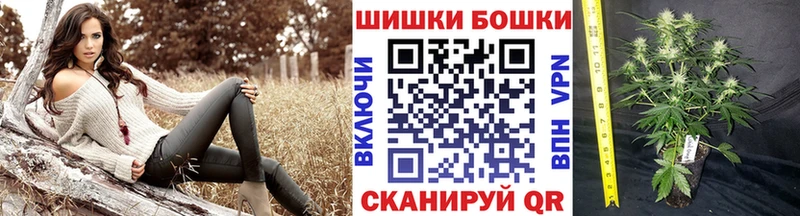 где можно купить   Боготол  Бошки Шишки Bruce Banner 